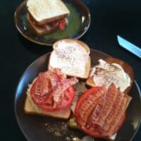 (8-11-12) This weeks menu plan and shopping list of 15 minute meals