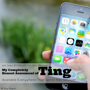 My Review of Ting Cell Service and How We Save $111/Month. 