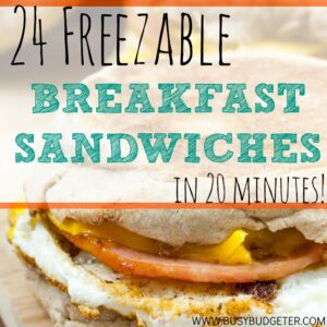 24 FREEZABLE BREAKFAST SANDWICHES SQ