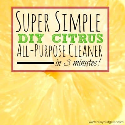 Whip up this super simple DIY citrus all purpose cleaner in just 3 minutes!