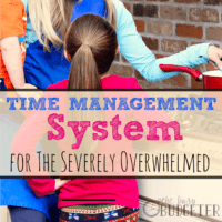 Time Management System for the Severely Overwhelmed