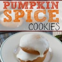 Super Easy Pumpkin Spice Cookies