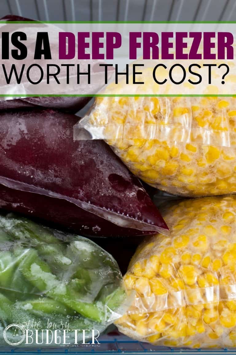 Is a Deep Freezer Worth the Cost? The Busy Budgeter