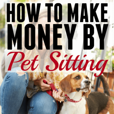 how to become a pet sitter