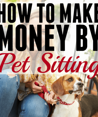 how to become a pet sitter