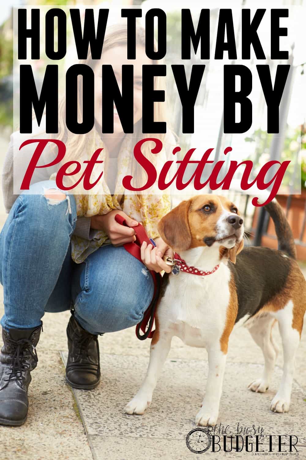 Make Money Pet Sitting: This is a great idea! I can't believe I didn't think of it myself considering how much I love pets. I'm totally asking my neighbors if they need a dog-sitter anytime soon!