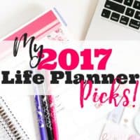 My 2017 Life Planner Picks!
