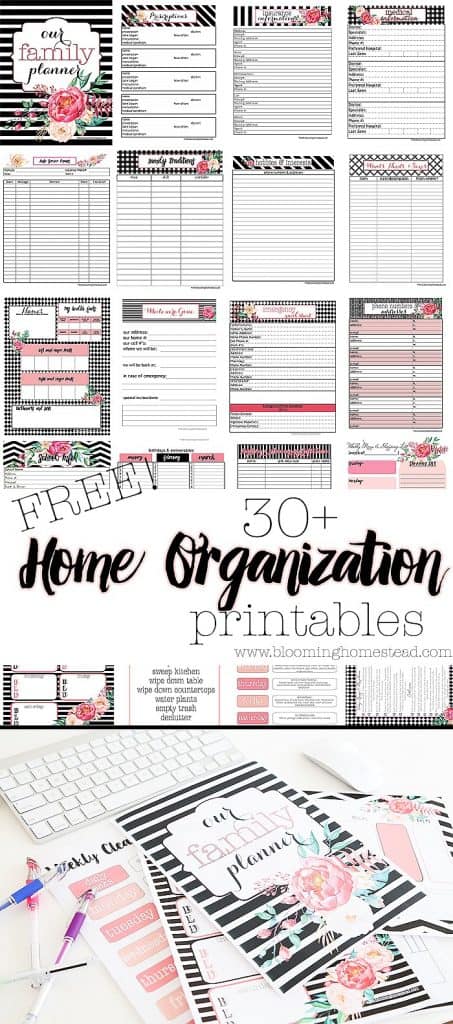 budgeting printables from pinterest