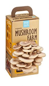 This mushroom farm is one of the best gifts for father's day if you have a dad that loves cooking, or just wants to work on his green thumb.