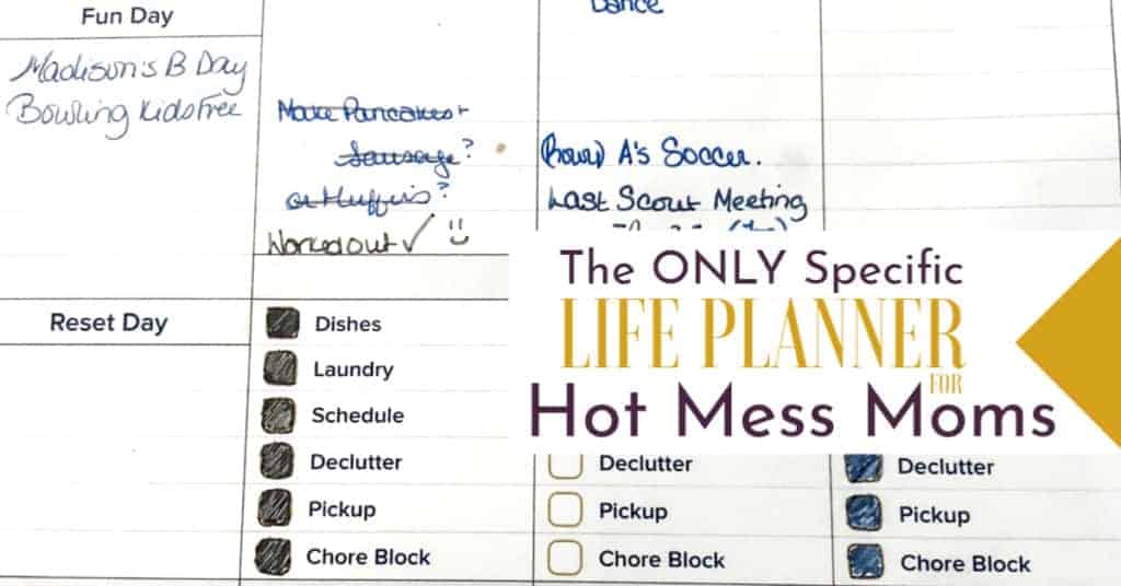 Daily habit trackers for dishes, laundry, schedule book, declutter, and chore block. Work graphic says "The Only specific Planner for Hot Mess Moms.