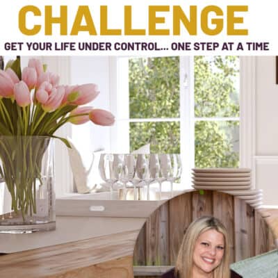 Clean dining room in the background and a picture of Rosemaroe Groner. Text overlay says Free Life Management challenge, Get your life under control one step at a time.