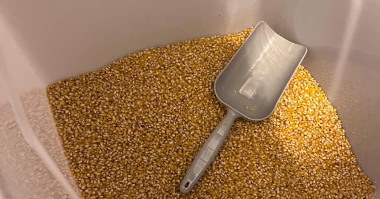 Where to buy popcorn for popcorn machine