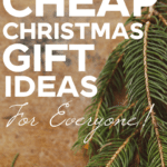 Evergreen branch on brown background- text says 50+cheap christmas gift ideas for everyone.