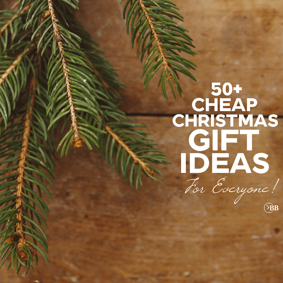 50+ Cheap Christmas Gift Ideas For Everyone On Your List. - The Busy  Budgeter